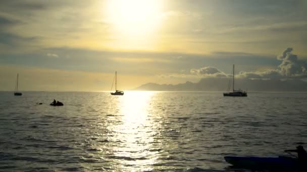 Polinésia Tahitian Outrigger Canoa Tripulada Remada Por Fêmeas Pôr Sol — Vídeo de Stock