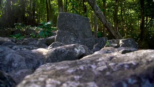 Piedra Tallada Petroglifo Características Históricas Dejadas Ruinas Dentro Selva Tropical — Vídeos de Stock