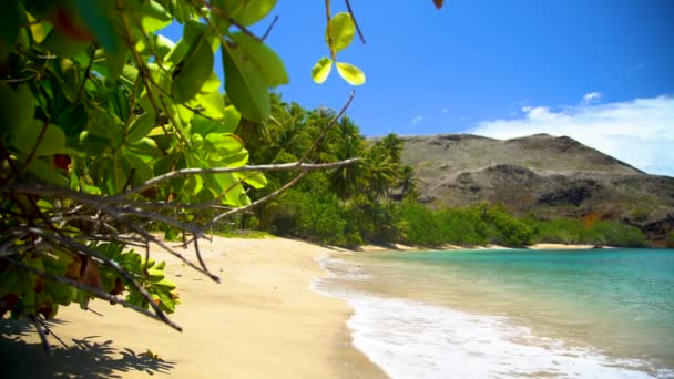 Polynesische Paradijs Tahuata Verlaten Oceaan Strand Weelderige Groene Vegetatie Vulkanisch — Stockvideo