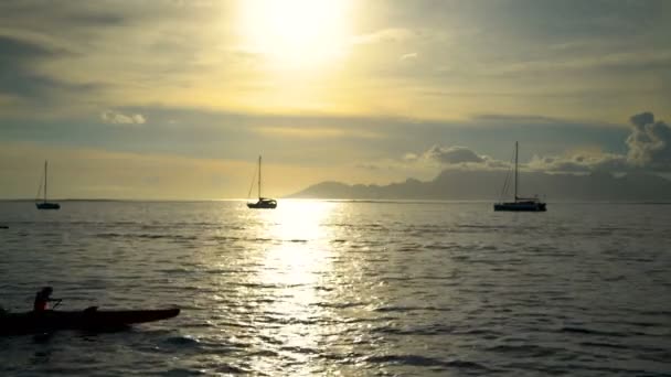 Polynesiska Tahitian Outrigger Bemannade Kanot Paddlade Honor Vid Solnedgången Moorea — Stockvideo