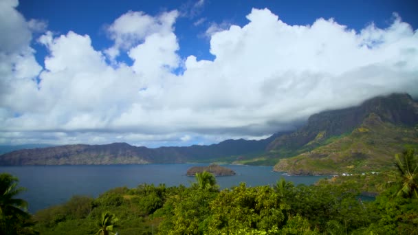 Ocean Bay Lush Green Vegetation Volcanic Rock Mountains Remote Exotic — Stock Video