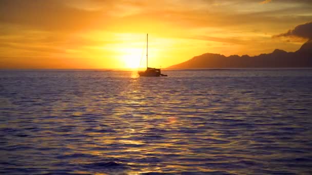 Polynesian Golden Sunset View Reef Yacht Tropical Island Paradise Moorea — Stock Video