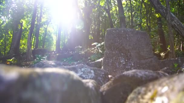 Piedra Tallada Petroglifo Características Históricas Dejadas Ruinas Dentro Selva Tropical — Vídeos de Stock