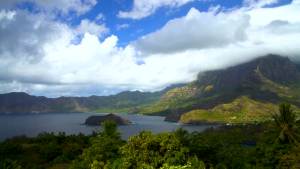 Bahía Del Océano Exuberante Vegetación Verde Montañas Roca Volcánica Lugar — Vídeos de Stock