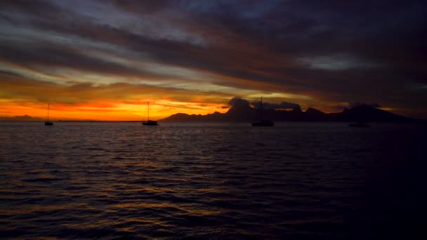 Altın Gece Gökyüzü Tropikal Bir Ada Cenneti Moorea Tahiti Güney — Stok video