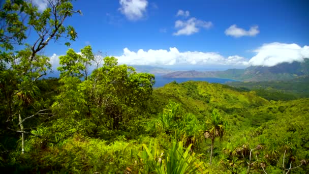 Paradiso Polinesiano Baia Oceanica Hiva Lussureggiante Vegetazione Verde Montagne Roccia — Video Stock
