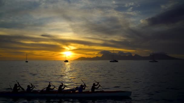 Polynesiska Tahitian Outrigger Bemannade Kanot Paddlade Hanar Sunset Moorea Island — Stockvideo