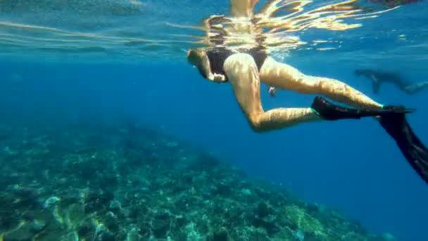 Vista Submarina Del Buzo Macho Nadadora Usando Máscaras Snorkel Aguas — Vídeo de stock