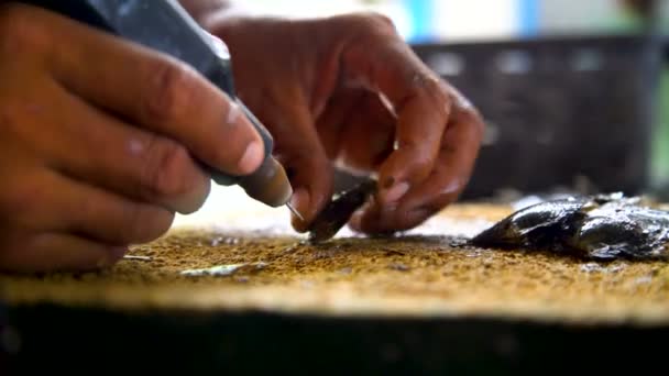 Trabajador Extrayendo Preparando Cultivo Perlas Una Cultura Tradicional Una Industria — Vídeo de stock