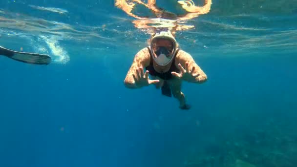 在彩色礁斐济南太平洋附近的清澈的蓝色热带水域 年轻女性游泳者浮潜到地表以下 — 图库视频影像