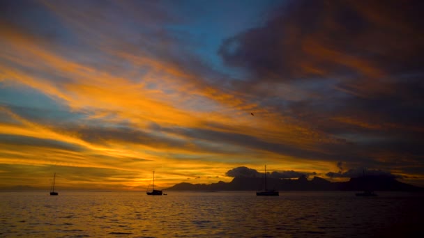 Tropické Polynéský Zlaté Slunce Pohled Útes Jachty Ostrovním Ráji Moorea — Stock video