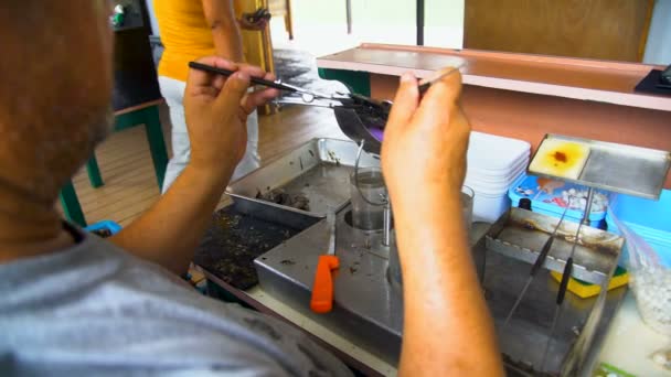 南太平洋塔哈阿 2018年3月 在塔希提岛塔希提岛提取珍珠并准备种植传统文化和工业的男性工人 — 图库视频影像