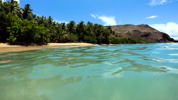 Viale Alberato Battigia Deserta Spiaggia Tropicale Turquois Calmo Oceano Acque — Video Stock