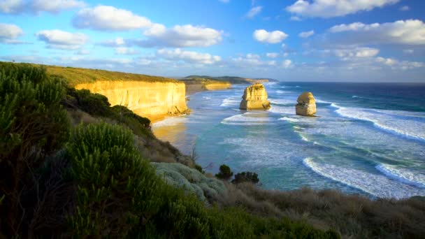 Kust Vegetatie Kalkrotsen Twaalf Apostel Rock Stapels Van Port Campbell — Stockvideo