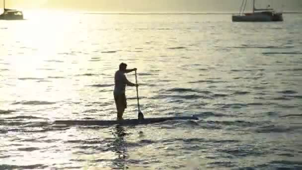 Male Paddle Boarding Ocean Tahiti Sunset Tropical Island Paradise View — Stock Video