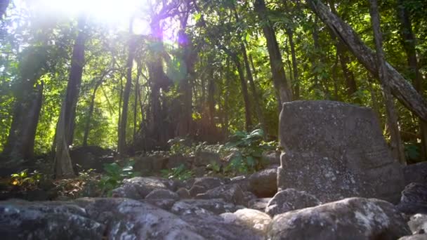 Piedra Tallada Petroglifo Características Históricas Dejadas Ruinas Dentro Selva Tropical — Vídeos de Stock