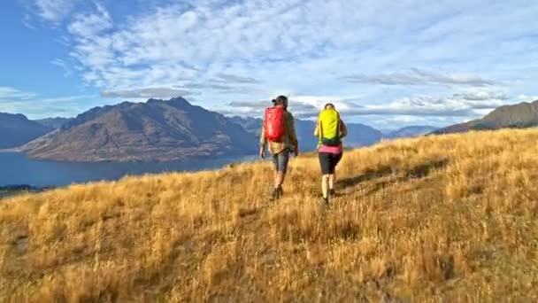 アクティブな白人の空中ドローン冒険ウオーキング健康マウント アスパイア リング湖ワカティプ ニュージーランド男性と女性ハイカー — ストック動画