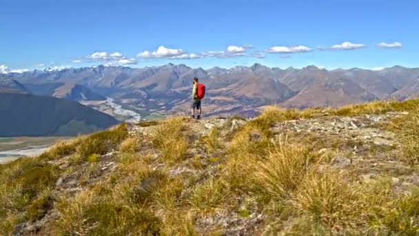 マウント アスパイア リング国立公園ニュージーランドの荒野にトレッキング遠征にアクティブな白人冒険男性ハイカーの空中ドローン — ストック動画