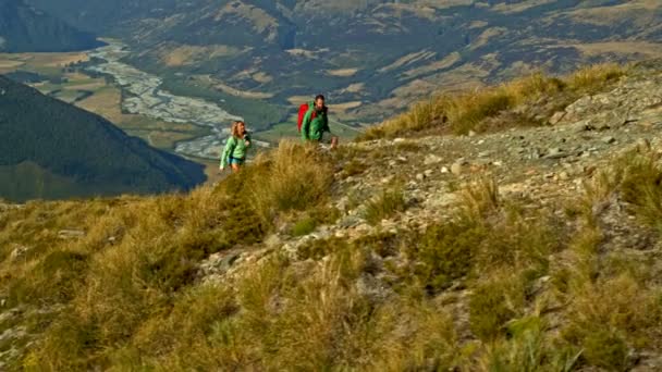 空中无人机视图的活跃年轻的高加索徒步旅行者户外度假徒步旅行福德岛国家公园新西兰 — 图库视频影像