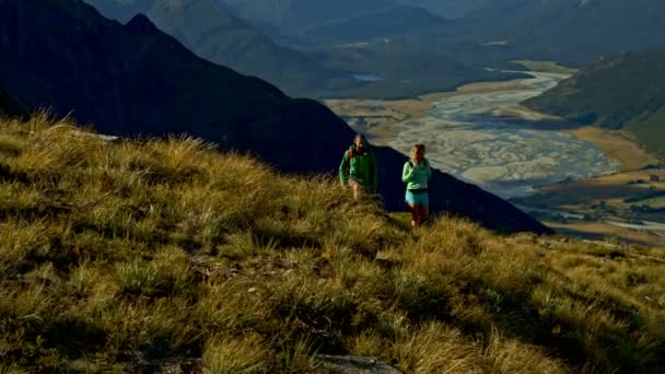 空中无人机视图的年轻适合高加索夫妇在户外他们的假期步行福德岛国家公园新西兰 — 图库视频影像