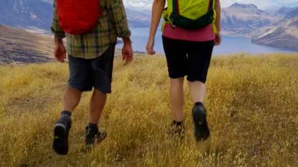 リュックサック リマーカブルズ フィヨルドランド国立公園ニュージーランド赤武器の荒野のハイキングを持つ白人冒険の若者 — ストック動画