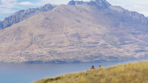 Junge Aktive Kaukasische Abenteuerreisende Wandern Der Natur Aufstrebenden Neuseeland — Stockvideo