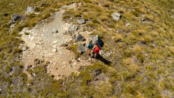 マウント アスパイア リング国立公園ニュージーランドの荒野にトレッキング遠征にアクティブな白人アドベンチャー ハイカーの空中ドローン ビュー — ストック動画