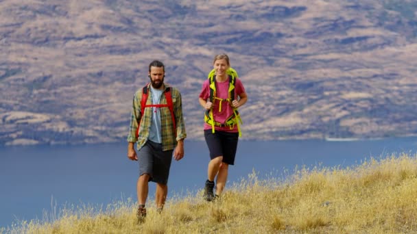 Fiatal Egészséges Kaukázusi Túrázók Túra Kaland Expedíció Aspiring Nemzeti Park — Stock videók