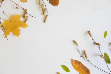 Sonbahar kompozisyon. Sonbahar afiş, arka plan, çerçeve. Çerçeve yaprakları ve bir yazıt için bir yer. Düz yatıyordu, en iyi görünüm, kopya alanı.