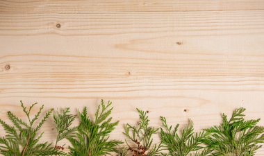 Canlı bir iğne yapraklı ağaç dalları ile Noel kompozisyon. Ahşap arka plan üzerinde yılbaşı banner sekli metin için. Doğal iğneler dalları ile kolaj. Yeni yıl kompozisyon