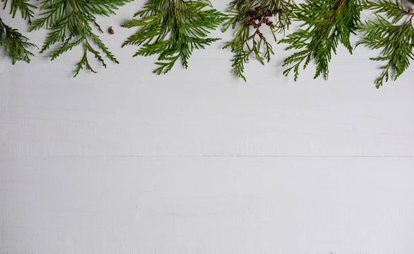 Boże Narodzenie Skład Żywych Gałęzi Drzewa Iglaste Formie Tekst Transparent — Zdjęcie stockowe