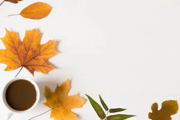 Autumn banner. Frame design for text on a white wooden background with autumn dry leaves and a cup of coffee. Autumn mood. Background for a banner with natural leaves. Flat lay, top view. Autumn flat background with coffee.