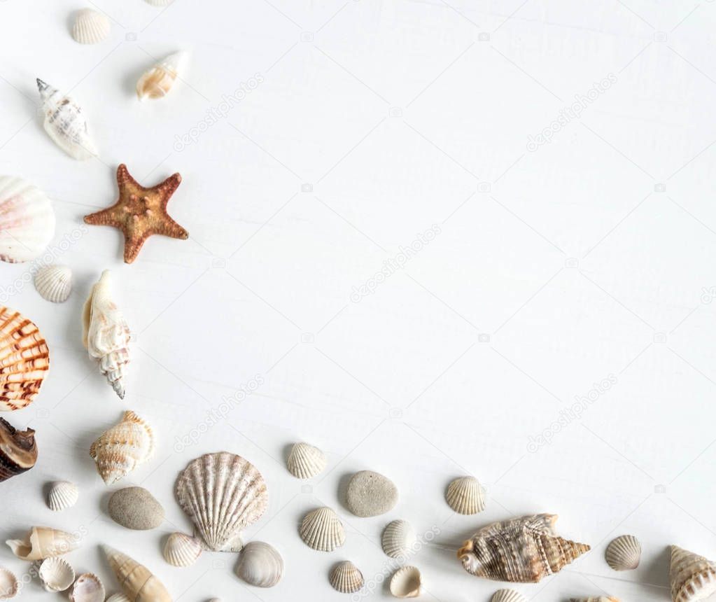 Wooden background white with shells. Frame with seashells on a white background. Sea