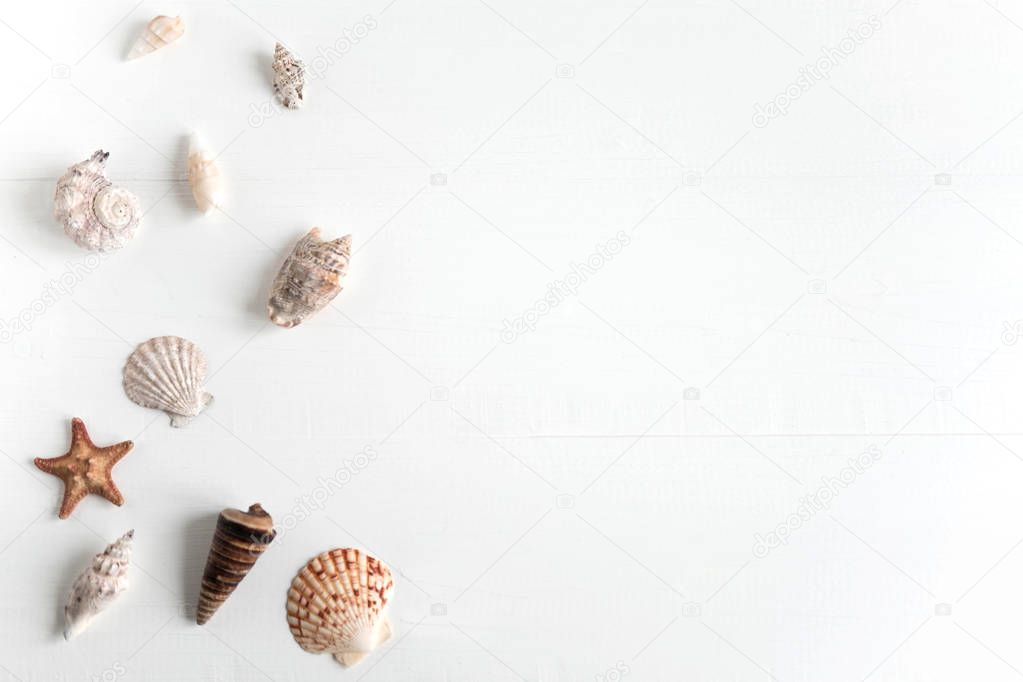 Wooden background white with shells. Frame with seashells on a white background. Sea