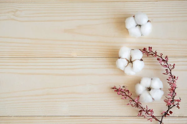 Houten Achtergrond Met Katoen Bloemen Natuurlijke Gedroogde Bladeren Van Struik — Stockfoto