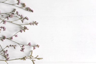 Arka planını çiçekler. Doğal renkleri ile bir başlık için arka plan. Copyspeis çiçekler ile banner. Çiçek arka plan. Çiçekler Beyaz ahşap zemin üzerinde.