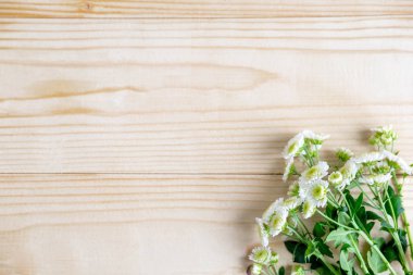 Tebrik kartı için çerçeve. Çiçekler ve copywriting için yer ile bir başlık için arka plan. Şablon afiş tasarım için çiçek ile.