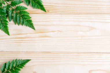 Doğal ile banner için temel renkler bırakır. Tasarım afiş yaprakları ile. Ahşap arka plan üzerinde yaprakları ile metin için çerçeve