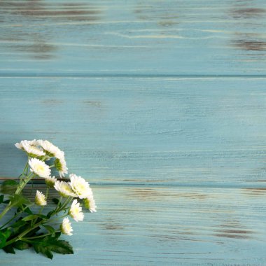 Doğal çiçek ve yaprakları ile bir afiş için temel. Çerçeve çiçek ve yaprakları metin için.