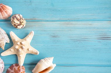 Afiş gezgin. Deniz yıldızı ve kabukları ile bir denizci türden metin için çerçeve. Deniz kabuklarını fotoğrafı