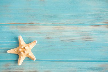 Ahşap arka plan kabukları ile beyaz. Beyaz bir arka plan üzerinde kabukları ile çerçeve.