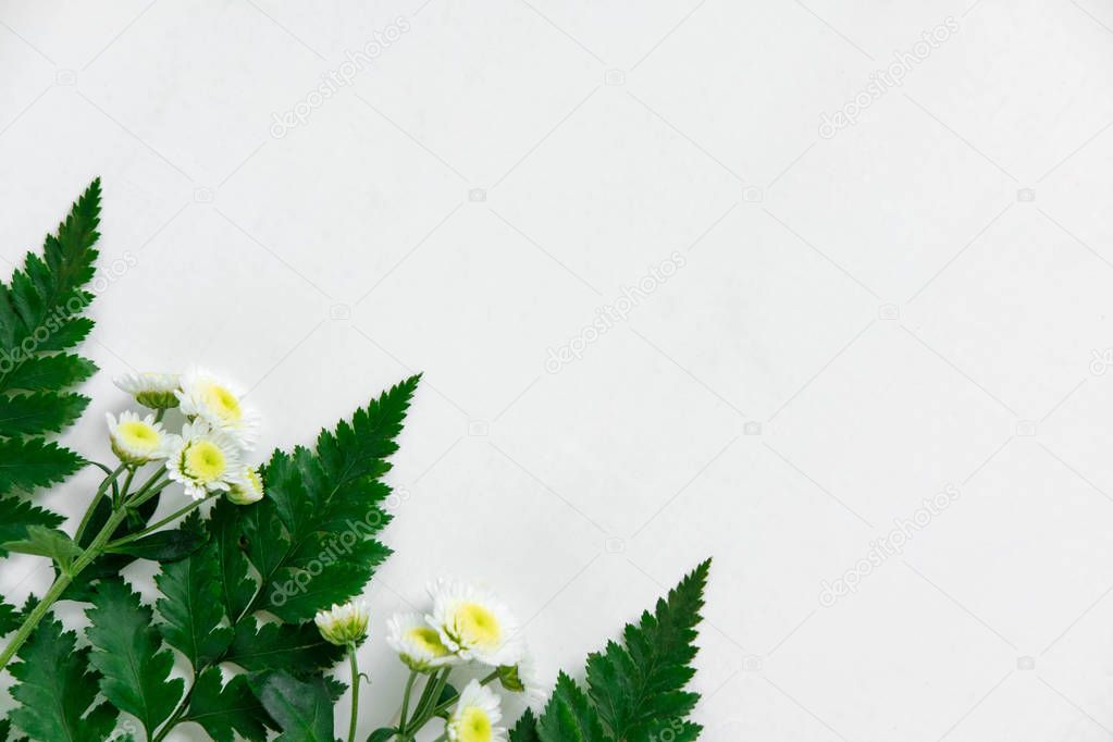 Basis for a banner with natural flowers and leaves. Frame for text with flowers and leaves.