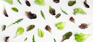 Beyaz bir arka plan üzerinde yeşil salata yaprakları. Marul yaprakları ile desen.
