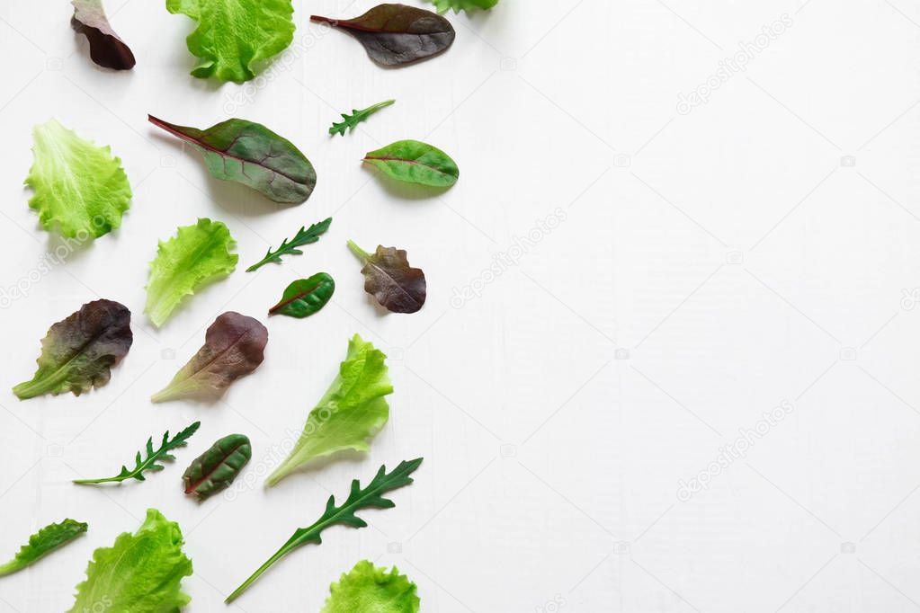 Green salad leaves on a white background. Pattern with lettuce leaves.