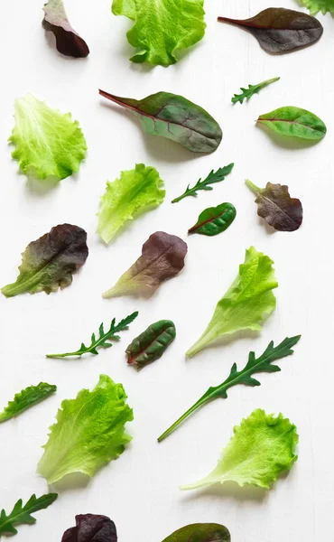 Green salad leaves on a white background. Pattern with lettuce leaves. Background design with leaves for salad. Pattern with lettuce leaves.