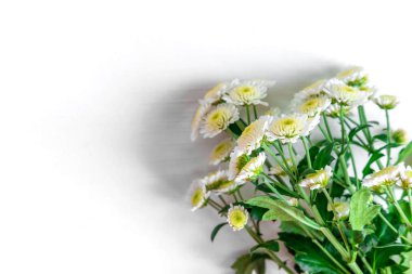 Tebrik kartı için çerçeve. Çiçek, Hediyelik ve copywriting için yer ile bir başlık için arka plan.