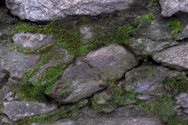 Kamieniarka Tekstury Moss Dla Projektu Zdjęcie Szary Mur Mchem Baner — Zdjęcie stockowe
