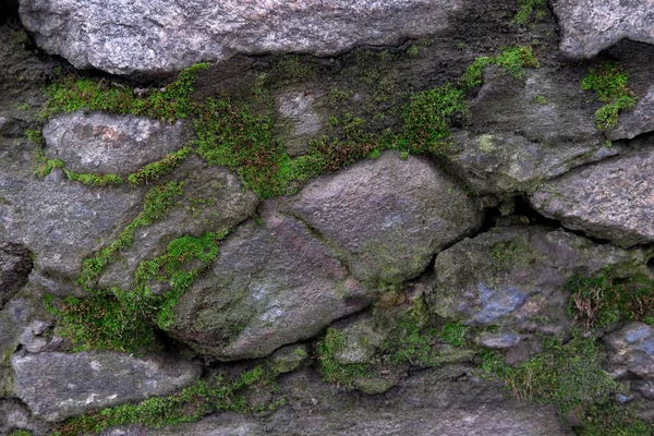 Textura Pedra Com Musgo Para Design Foto Parede Pedra Cinza — Fotografia de Stock