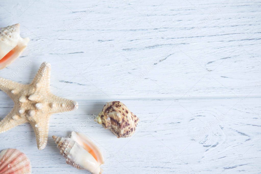 Wooden background white with shells. Frame with seashells on a white background