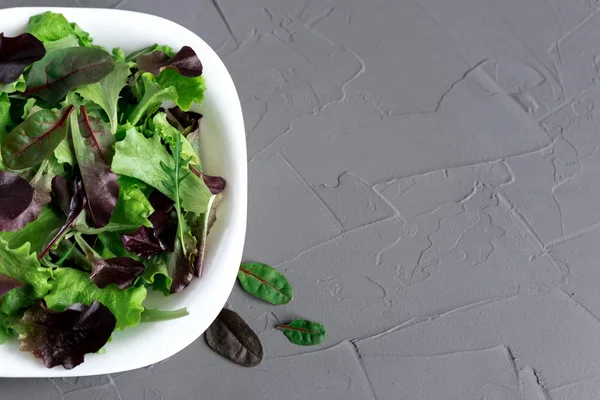 Gri zemin üzerine yeşil salata ile plaka. Yemek, Restoran, kafe bir afiş için arka plan.